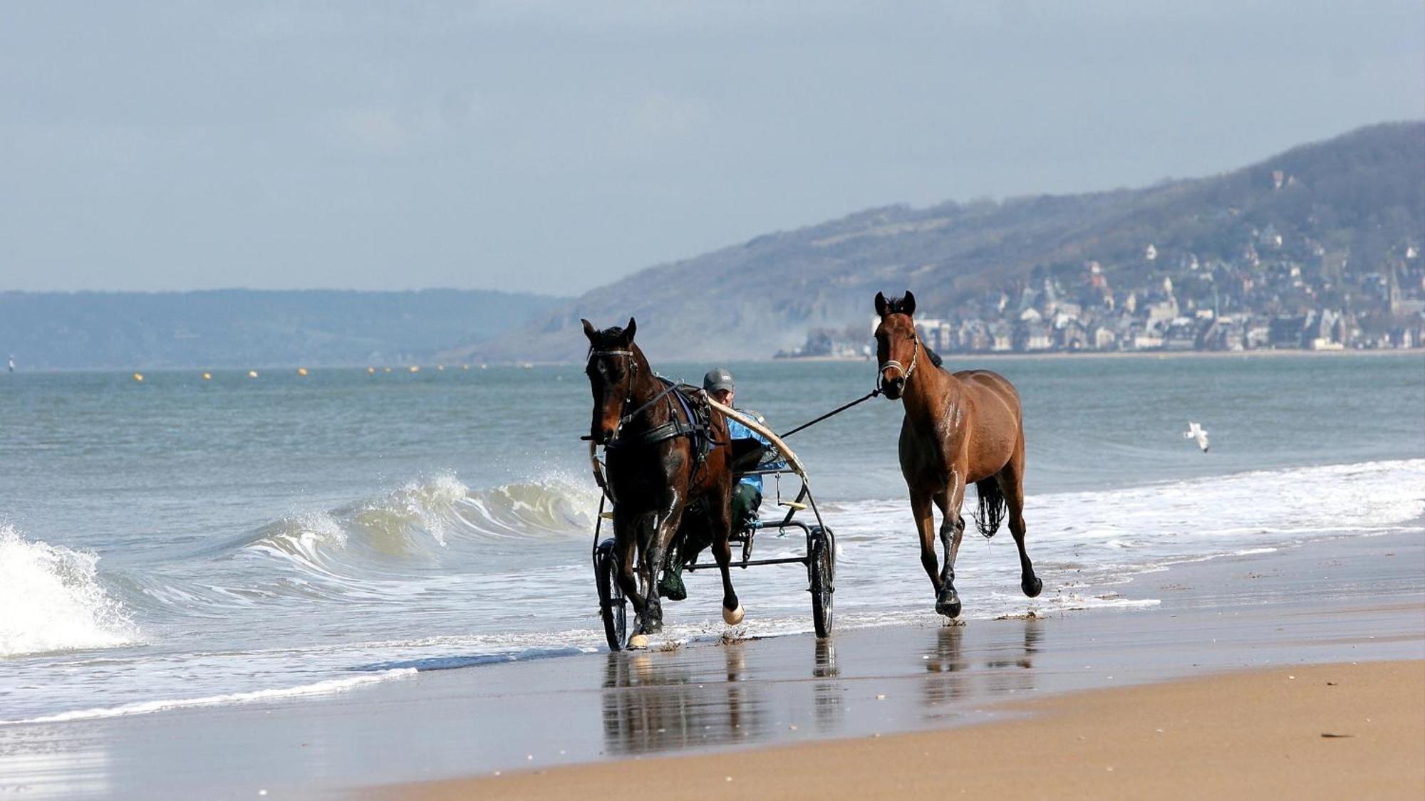Calme Et Arboree Proche De La Plage 꺄부흐 외부 사진